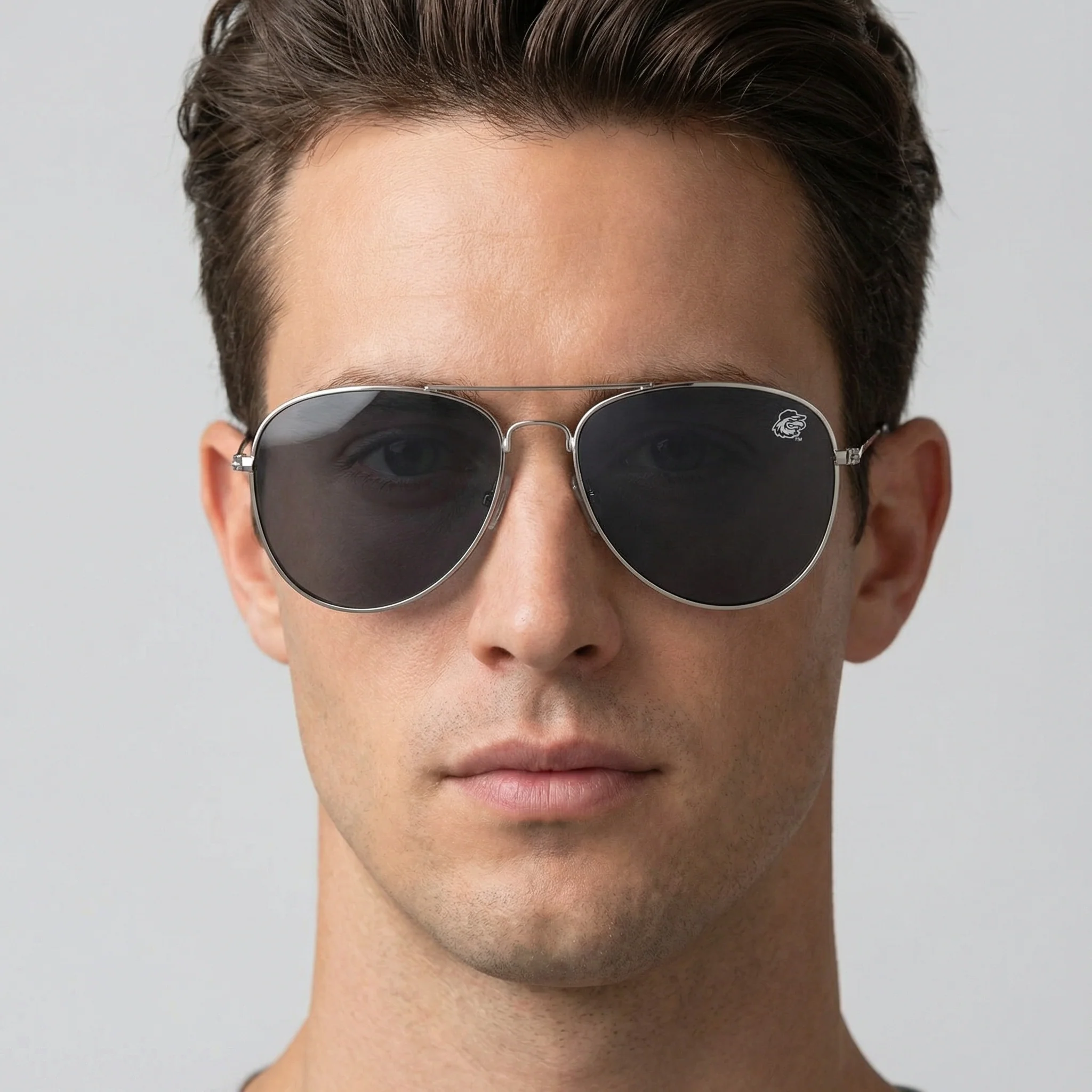 The Red Wings Aviators - Image 3